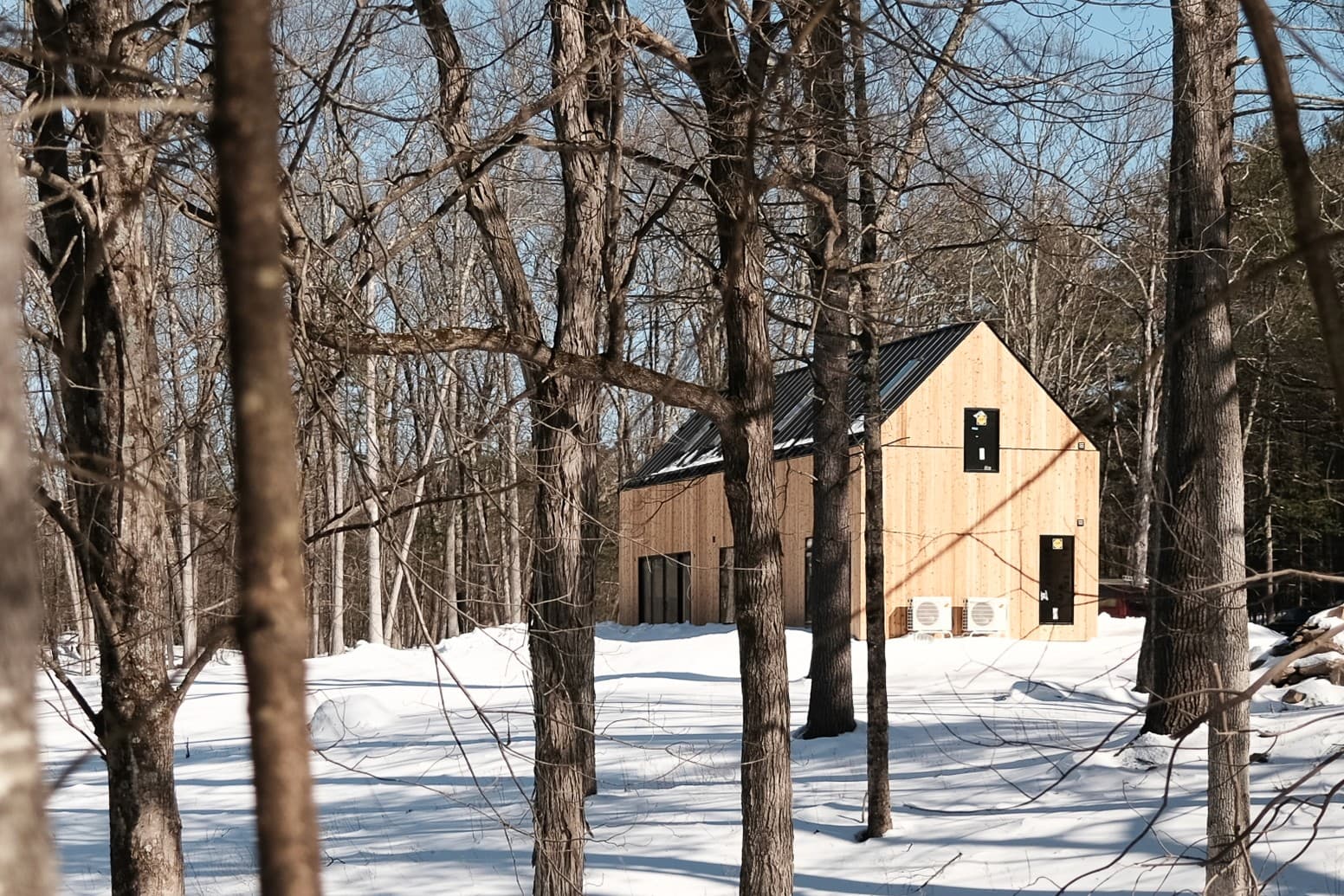 Cabin construction progress — February 13, 2026