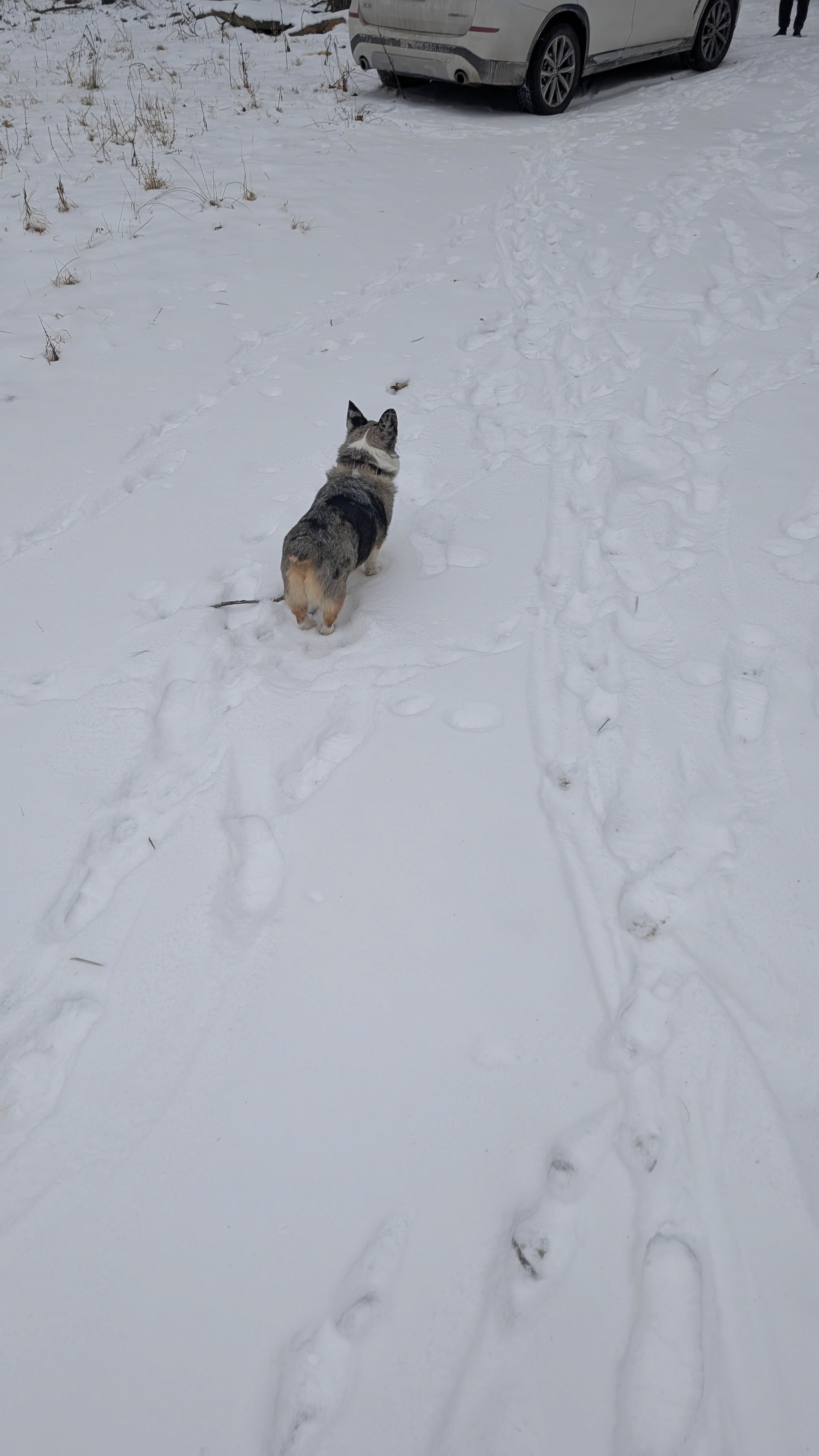 Paradise Lake property 4 — Catskill Mountains